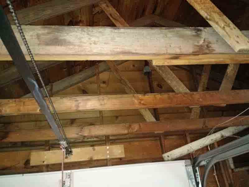 Garage Rafters Cleaned