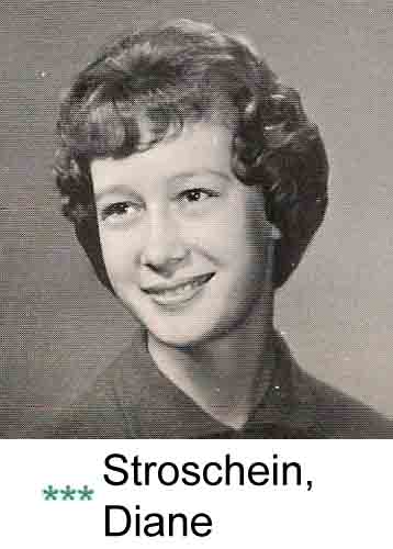 Stroschein, Diane
